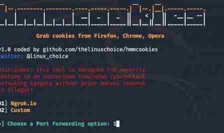 How to Hack Chrome and Firefox Cookies with the HMMCookies