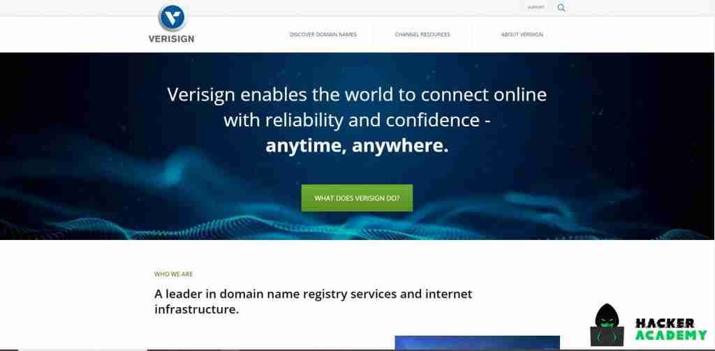 Verisign DDoS Protection Services