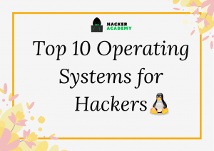 top 10 operating systems for hackers
